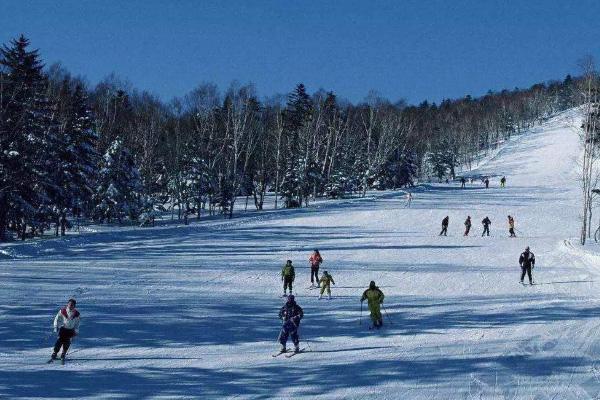 2020年黑龙江大雪高速封闭情况