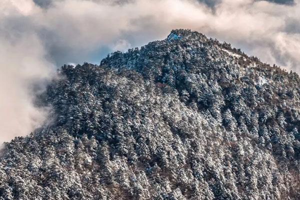 神农架下雪了吗2020 神农架滑雪攻略