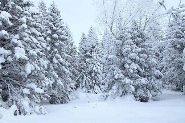 长白山看雪景最好的时间 12月长白山赏雪攻略-交通指南