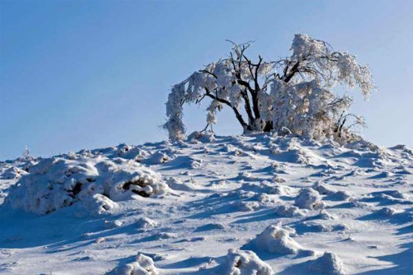 2020重庆红池坝下雪了吗 重庆红池坝风景区在什么地方