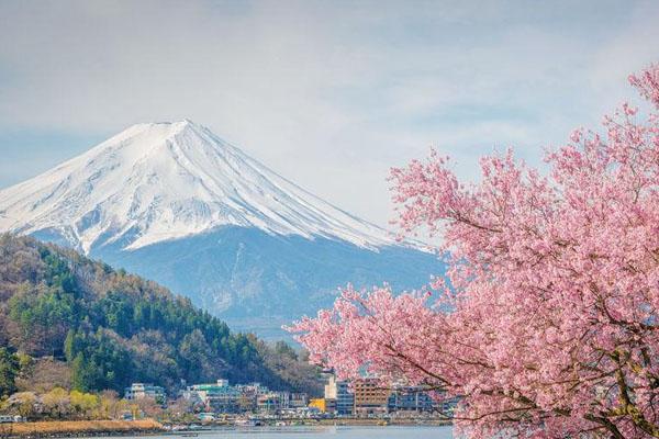 12月28日起日本全面暂停新入境 日本入境12月最新消息