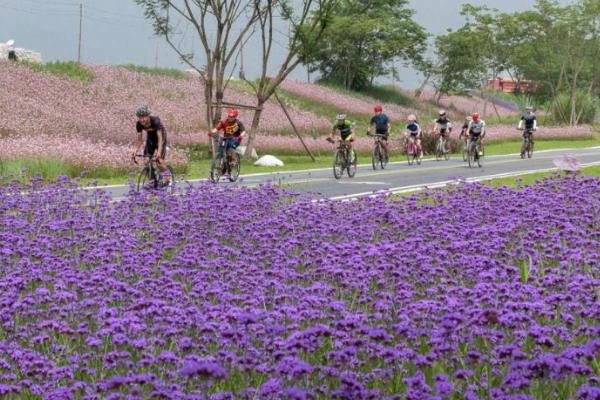 2021成都公园城市年宵花节时间-地点-活动详情