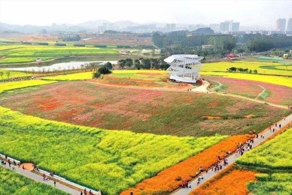 光明小镇欢乐田园油菜花需要预约吗 附赏花攻略