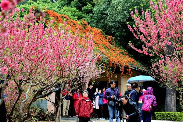 2021广州白云山元宵节有哪些活动 广州白云山元宵节活动汇总