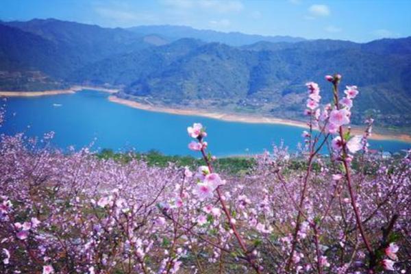 舟山桃花岛桃花什么时候开 舟山桃花岛几月份去最好