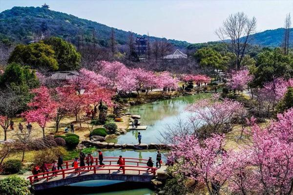 深圳樱花谷风景区在哪里 深圳樱花谷什么时候去最好