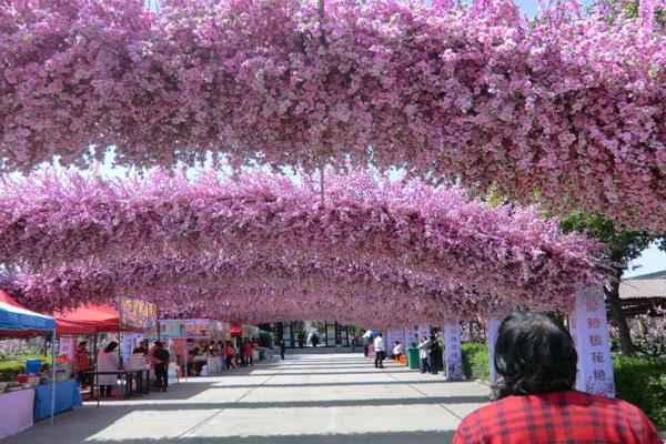 上海桃花节是几月几日2021年 附赏花路线