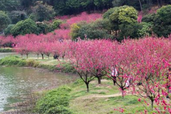 2021年佛山宗教场所开放情况调整 佛山寺庙什么时候恢复开放