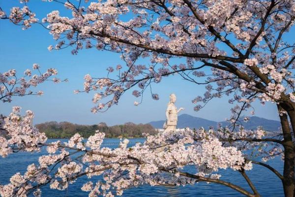 2021南京清明节去哪里玩比较好 南京清明节踏青哪里好