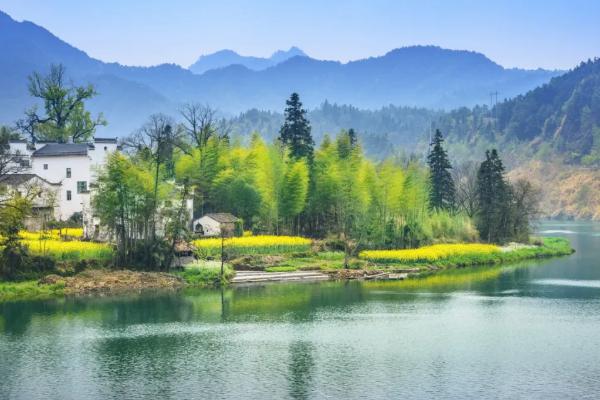 婺源油菜花旅游攻略 婺源油菜花最佳观赏地