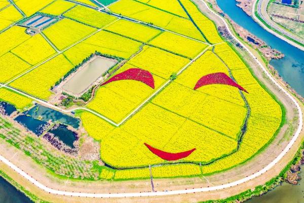 南京油菜花景点 市内油菜花观赏地点汇总