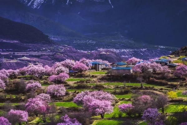 拉萨到林芝怎么坐车 拉萨到林芝旅游攻略三日游