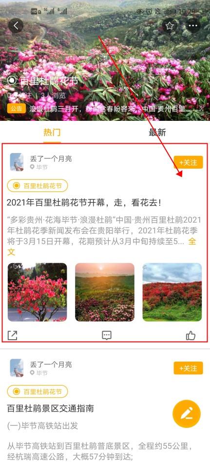 2021贵州毕节杜鹃花什么时候开