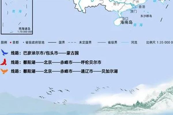 2021内蒙古候鸟迁徙路线-最佳观赏时间及地点