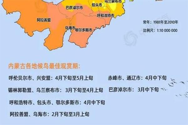 2021内蒙古候鸟迁徙路线-最佳观赏时间及地点