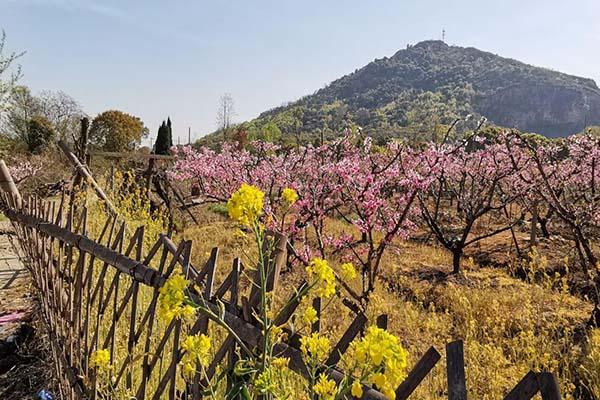 2021无锡阳山桃花源景区门票多少钱-交通出行指南