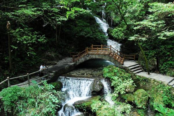 2021重庆限时免费景区 世界森林日免票景区