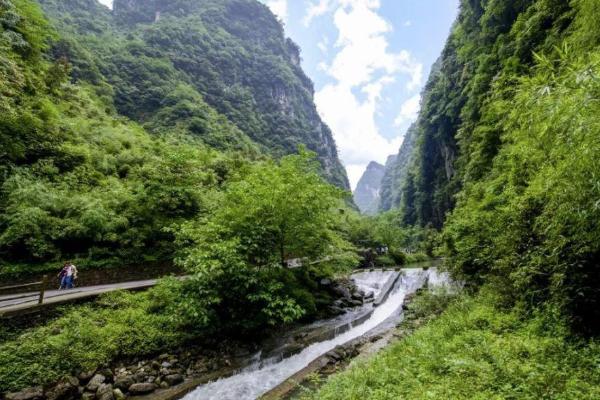 2021重庆限时免费景区 世界森林日免票景区