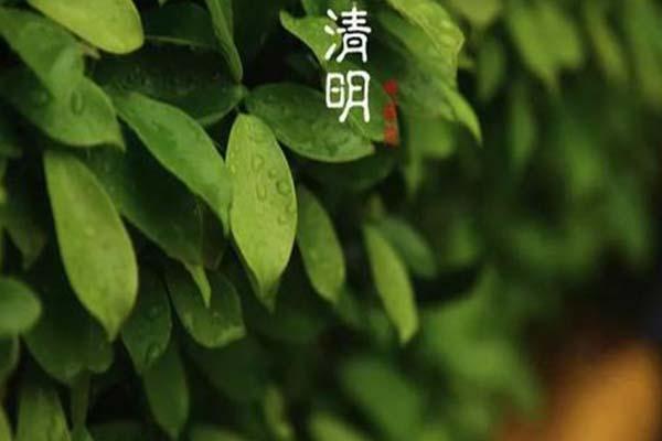 2021珠海清明节可以扫墓吗-预约指南