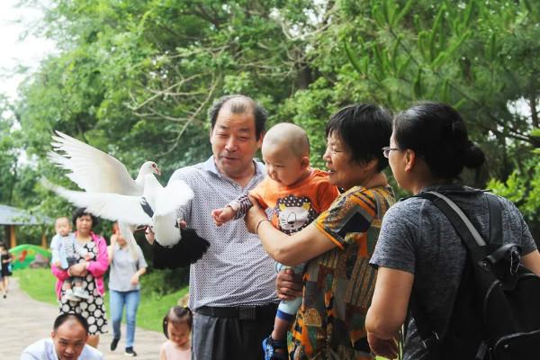 2021赣州森林动物园门票多少钱-游玩攻略