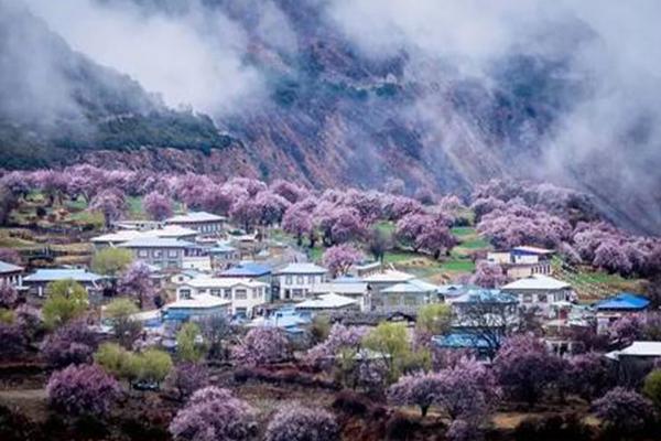 妻子的浪漫旅行第五季去了哪些地方-录制地点