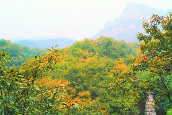 林虑山风景区怎么样-门票多少钱