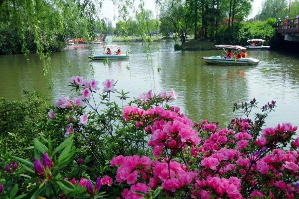 2021上海杜鹃花展时间-地址-看点