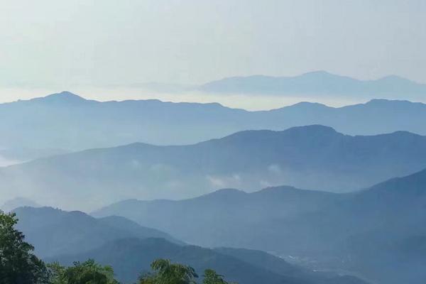 2021绍兴赏花登山胜地 绍兴登山好去处