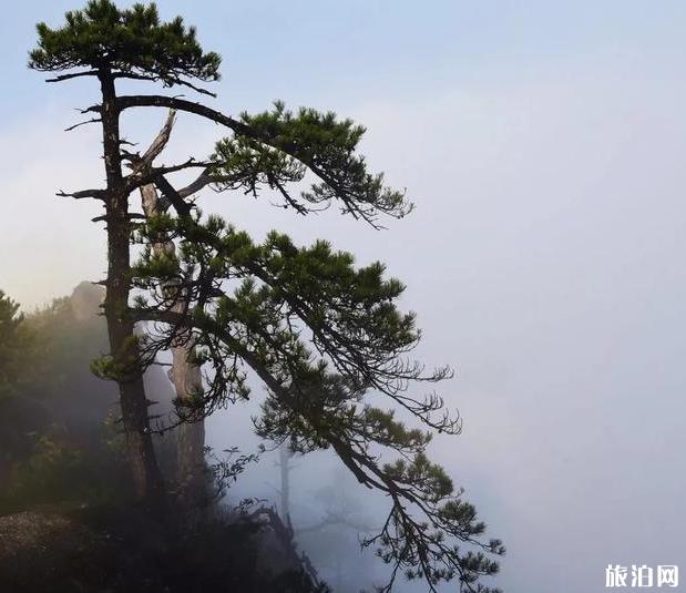 江华犁头山美景图