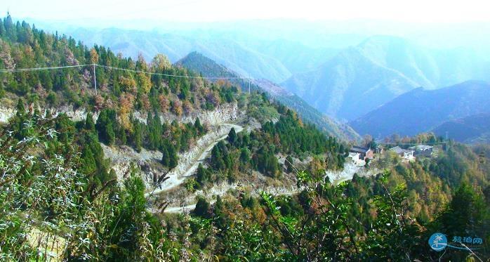 商洛竹林关区西岭乡茶房垭村