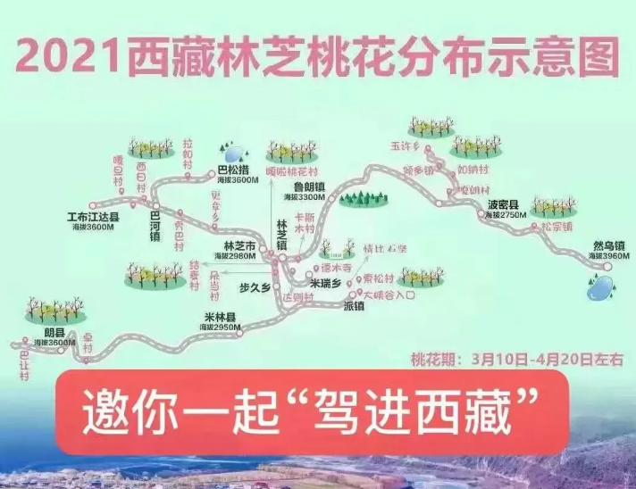 2021林芝桃花节路线攻略及游玩指南 林芝桃花最佳观赏时间