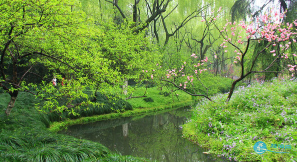 西湖十大美景都有哪些 西湖十大美景图片