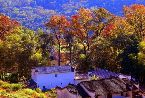 中国十大红叶风景区 中国红叶观赏地排名