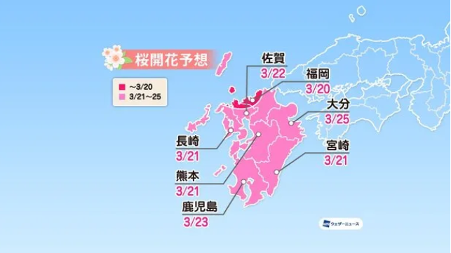 今年能去日本看樱花吗 2021日本樱花什么时候开-日本樱花预测