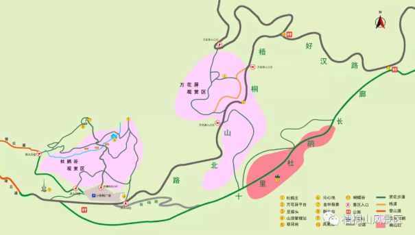 2021深圳梧桐山毛棉杜鹃花会时间及活动详情-观赏路线推荐