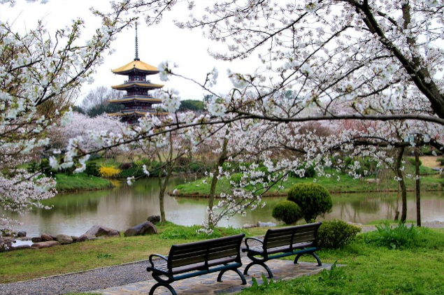 3月赏花去哪里 三月踏青赏花地点推荐