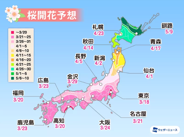 今年能去日本看樱花吗 2021日本樱花什么时候开-日本樱花预测