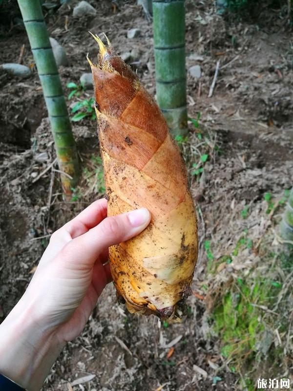 遂昌必尝美食 遂昌地道美食推荐