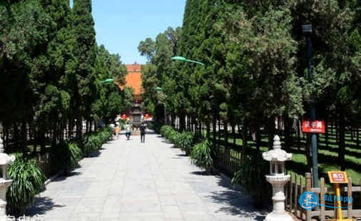 柏林禅寺在哪 柏林禅寺门票多少钱