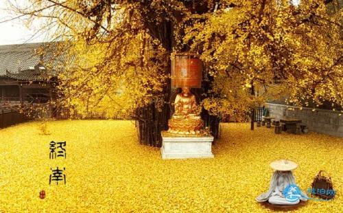 古观音禅寺门票多少钱 古观音禅寺门票预约流程