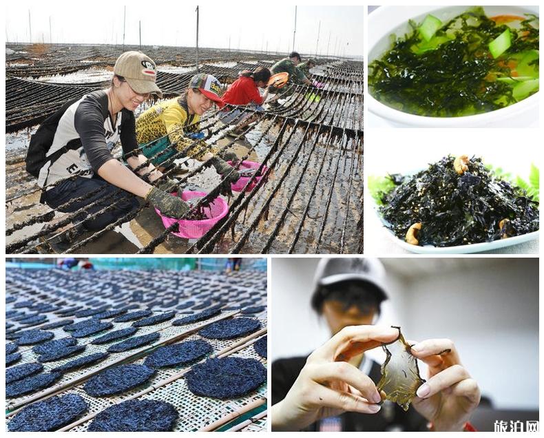 霞浦地道美食介绍