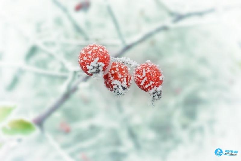 12月份去哪里旅游好，12月去哪里旅游最合适