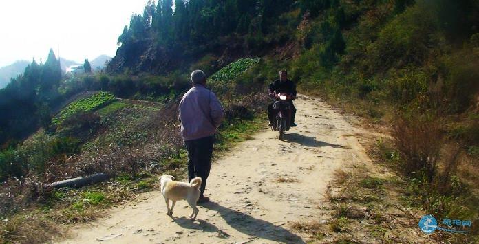 商洛竹林关区西岭乡茶房垭村