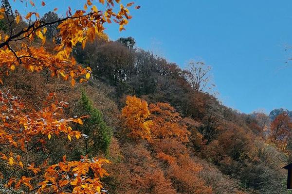 四川红叶景区排名，四川哪里可以看红叶最佳观赏时间