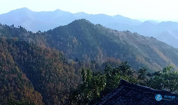 商洛竹林关区西岭乡茶房垭村