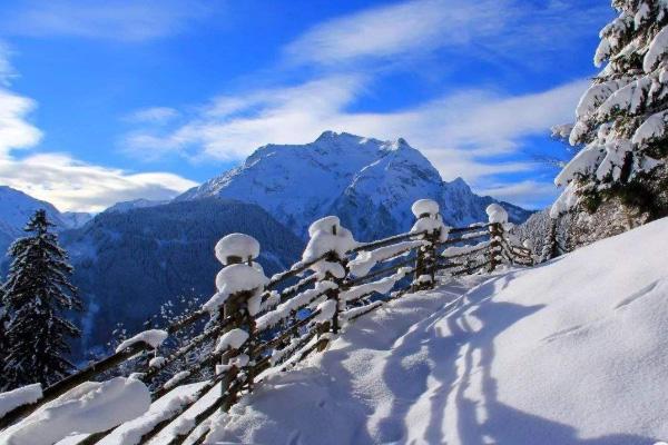 11月大范围降雪地区有哪些