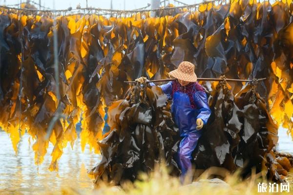 霞浦地道美食介绍