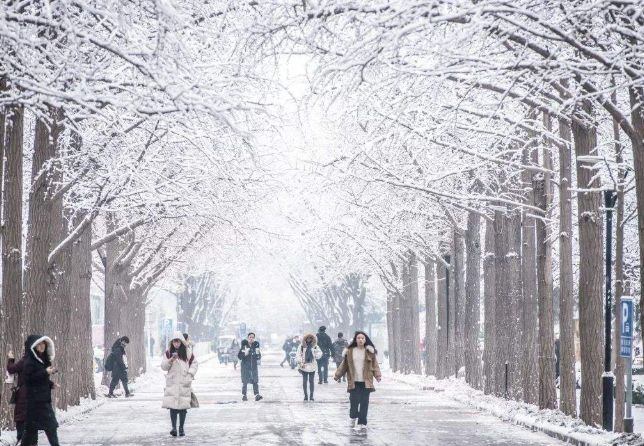 12月14日北京下雪公交停运绕行及甩站措施 国内部分城市道路结冰黄色预警