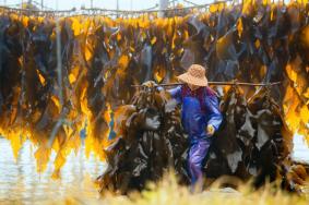 霞浦地道美食介绍