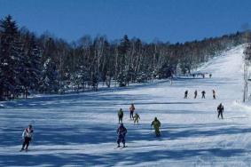 黑龙江大雪高速封闭情况